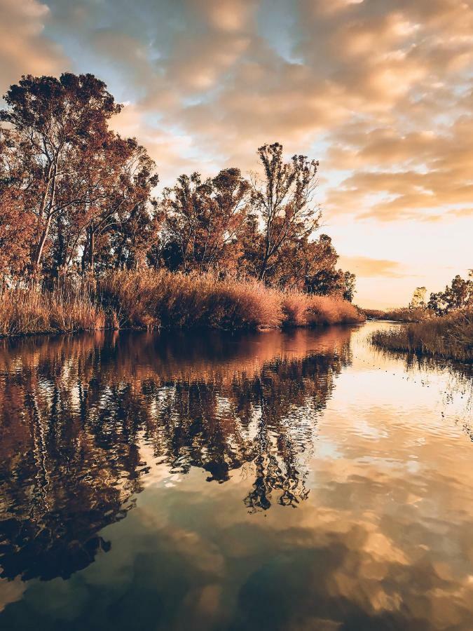 Villa Fernweh - Delta De L'Ebre Riumar Eksteriør bilde
